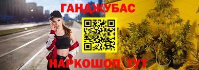 spice Гай