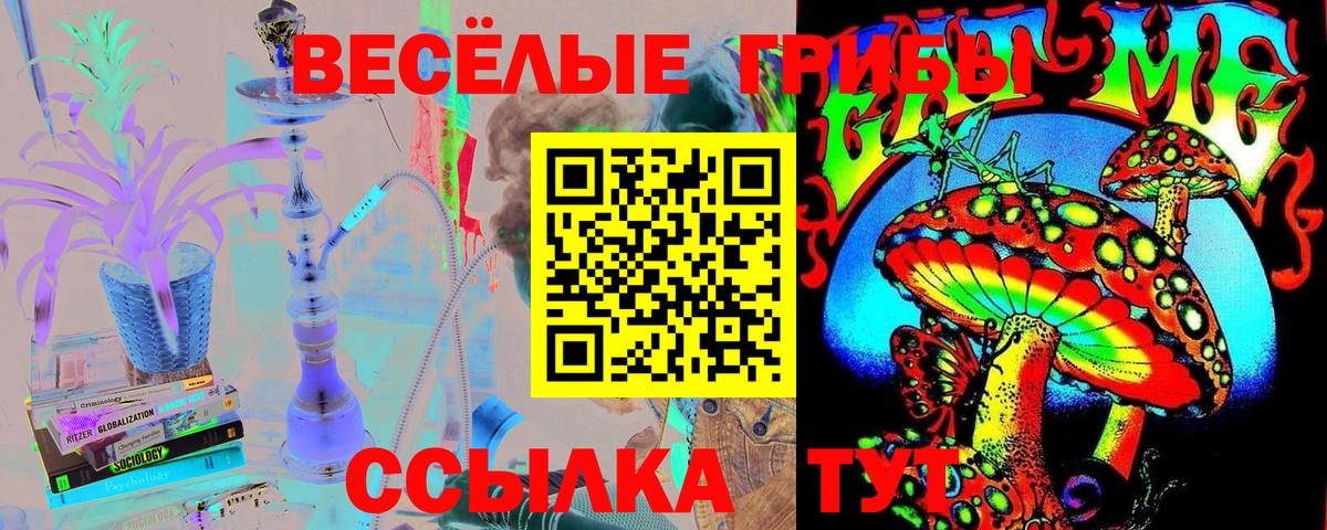 ГАШ  Конопля  КОКАИН  Бийск  Экстази  Мефедрон кристаллы  Вход с VPN  Codein 