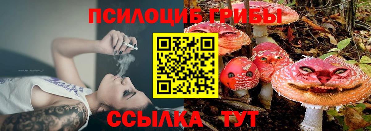 Бийск  Псилоцибиновые грибы Magic Shrooms  Псилоцибиновые грибы Psilocybine cubensis  Вход с VPN 